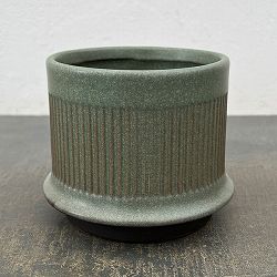 ミネルバ：緑S（直径約13cm）