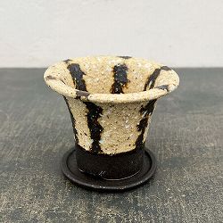 信楽焼き：スワロポット ベージュ（直径約10.3cm）・受け皿付