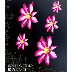 クレマチス：ホシノタンゴ（星のタンゴ）4号ポット（パテンス系）