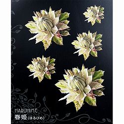 クレマチス：ハルヒメ（春姫）4号ロングポット（八重咲・パテンス系）