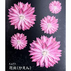 クレマチス：カエン（花炎）4号ロングポット（八重咲・大輪系）*