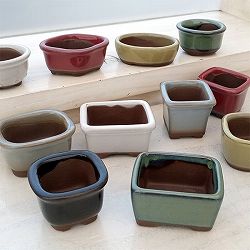 ミニ鉢：色鉢1.5号12点取り合わせ（直径約4.5cm×高さ2.5cm） 2個セット