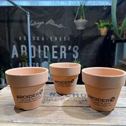 アロイダーズ素焼き鉢　3.5号 3個セット