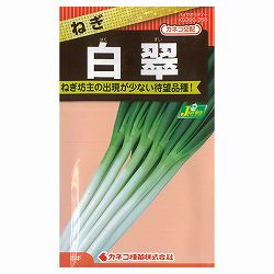 ネギ：白翠（はくすい）[野菜タネ　秋、春まき]