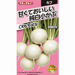 カブ：CRもちばな　の種[タキイ 野菜タネ]