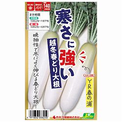 ダイコン：寒さに強い越冬春どり大根 YR春の浦[野菜タネ]