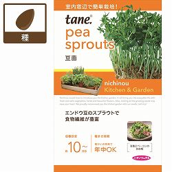 ｔａｎｅ，豆苗
