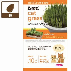 ｔａｎｅ，にゃんにゃんサラダ（ネコ草）