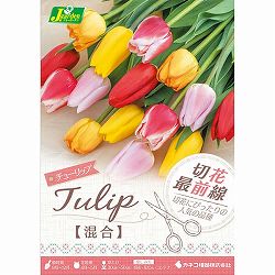 [26年9月中下旬予約]チューリップ：切花最前線 混合 5球入り