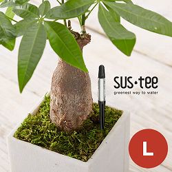 サスティー：Lサイズ（ブラック） 12個セット