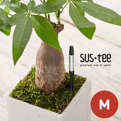 サスティー：Mサイズ（ブラック） 6個セット