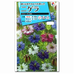 ニゲラ：ミスジーキル混合 3袋セット[タキイ 花タネ]