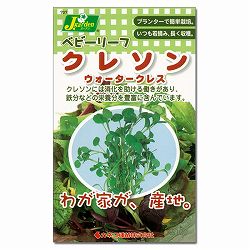 ベビーリーフの種：クレソン ウォータークレス（クレソン） 4袋セット[タネ]