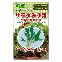 ベビーリーフの種：サラダみず菜 早生千筋京水菜 4袋セット[タネ]