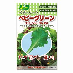 ベビーリーフの種：ベビーグリーン グリーンリーフレタス（グリーンスパン） 4袋セット[タネ]