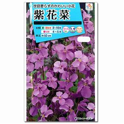 ムラサキハナナ（紫花菜）の種 3袋セット[タキイ 花タネ]