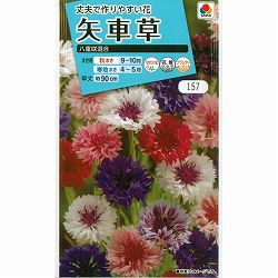 ヤグルマギク（矢車草・セントーレア）：八重咲混合 3袋セット[タキイ 花タネ]
