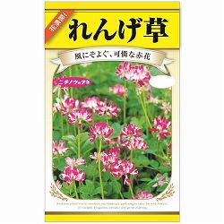 れんげ草 3袋セット[レンゲ草　秋まき　古き良き田園風景　風にそよぐ可憐な花　花タネ]