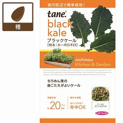 ｔａｎｅ，ブラックケール 3袋セット