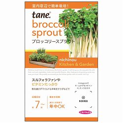 ｔａｎｅ，ブロッコリースプラウト 2袋セット