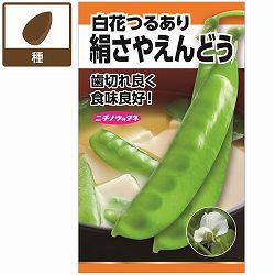 エンドウ：絹莢えんどう(つるあり・白花) 2袋セット[野菜タネ　秋まき（寒地は春まき）]