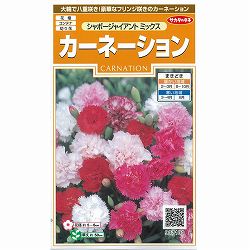 カーネーション：シャポージャイアントミックスの種 2袋セット[花タネ]