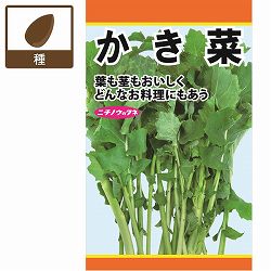 かき菜　の種 2袋セット