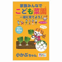 カブ：こども菜園(R)（小かぶちゃん） 2袋セット[野菜のタネ]