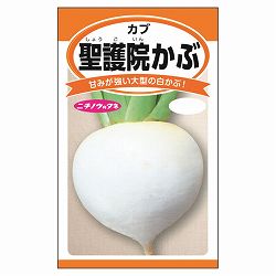 カブ：聖護院かぶ 2袋セット[野菜タネ]