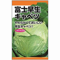 キャベツ：富士早生キャベツの種 2袋セット[野菜タネ]