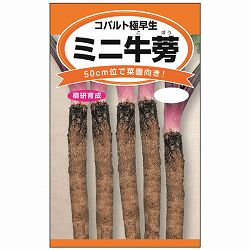 ゴボウ：ミニ牛蒡（コバルト極早生） 3袋セット[短めで家庭菜園向き　野菜タネ]