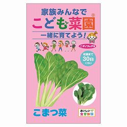 コマツナ：こども菜園(R)（こまつ菜） 3袋セット[野菜のタネ　通年まき]