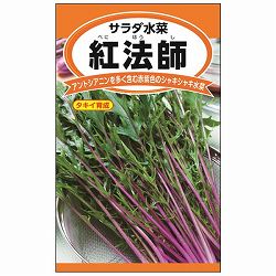 サラダ水菜：紅法師(べにほうし） 3袋セット[野菜タネ]