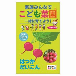 ダイコン：こども菜園(R)（二十日大根） 3袋セット[野菜のタネ　ハツカダイコン　周年まき]