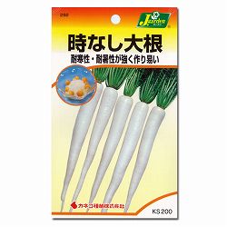 ダイコン：時なし大根 3袋セット[野菜タネ]