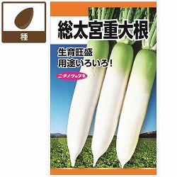 ダイコン：総太宮重大根（そうぶとりみやしげだいこん） 2袋セット[野菜タネ　夏秋まき]