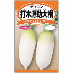 ダイコン：打木源助大根（うつぎげんすけ） 2袋セット[煮物やおでんにピッタリの伝統野菜　野菜タネ]