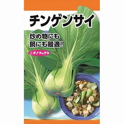 チンゲンサイ の種 2袋セット[炒め物にも鍋にも！　野菜タネ]