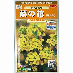 ナノハナ（菜の花）：寒咲系混合 2袋セット[花タネ]