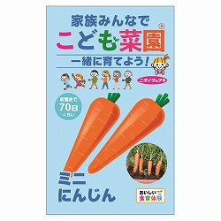 ニンジン種：こども菜園(R)（ミニにんじん） 2袋セット[野菜のタネ　ほぼ周年まき]