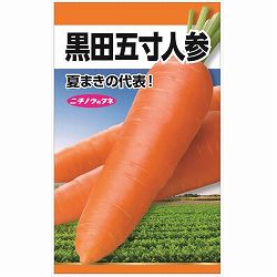 ニンジン種：黒田五寸人参の種 2袋セット[花タネ　野菜タネ]