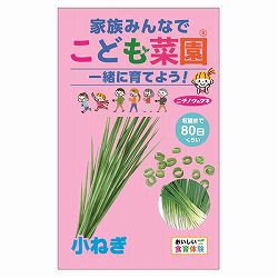 ネギ：こども菜園（小ねぎ） 3袋セット[野菜のタネ]