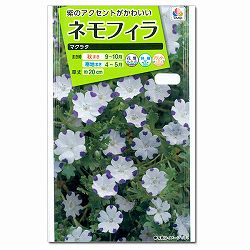 ネモフィラ：マクラタ 3袋セット[タキイ 花タネ]