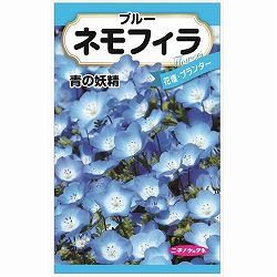 ネモフィラの種 3袋セット[花タネ]