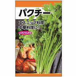 パクチーの種 2袋セット[野菜タネ]