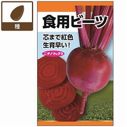 ビーツ：食用ビーツ(デトロイト・ダークレッド) 2袋セット[野菜タネ　春秋まき]