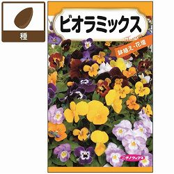 ビオラ：ミックス（MIX） 2袋セット[花タネ　秋まき（寒地は春まき）]