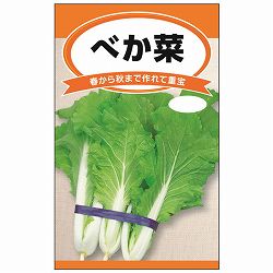 べか菜（山東菜） 3袋セット[結球しない白菜　春～秋まで作れる葉もの　野菜タネ]