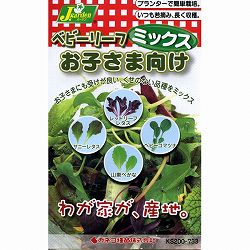 ベビーリーフの種ミックス：お子様向け 3袋セット[食べやすいマイルドな風味・食育にもおすすめ！ 周年まき可能 タネ]