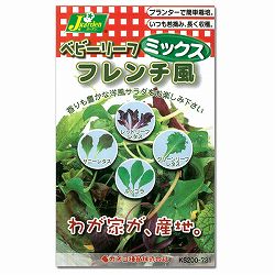 ベビーリーフの種ミックス：フレンチ風 2袋セット[周年まき可能 タネ]